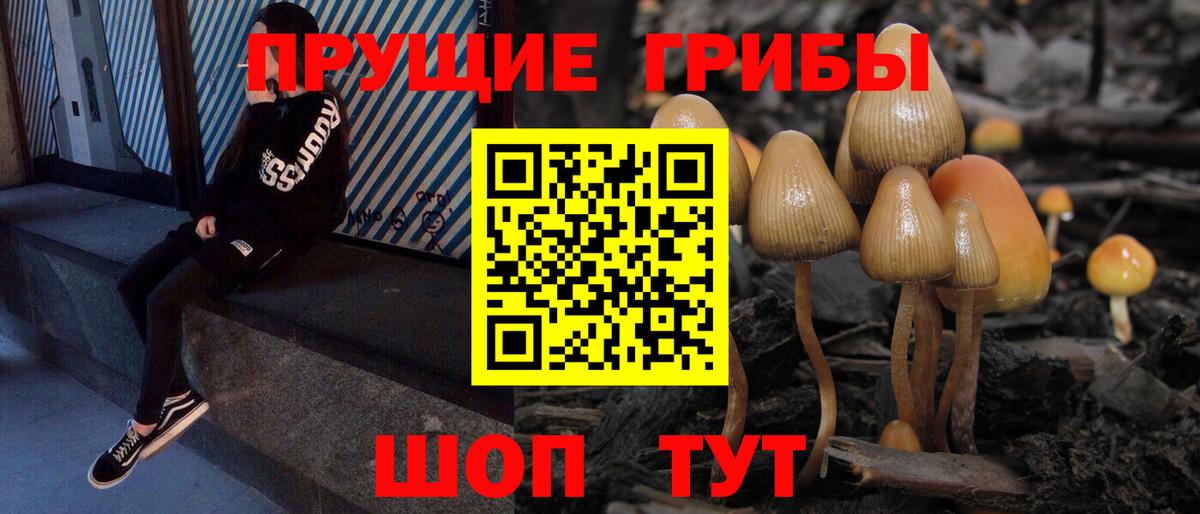 Псилоцибиновые грибы Cubensis Заинск