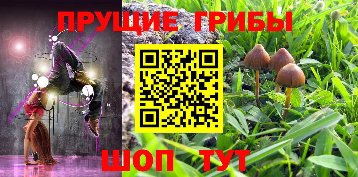 Галлюциногенные грибы прущие грибы  Вход с VPN  Заинск 